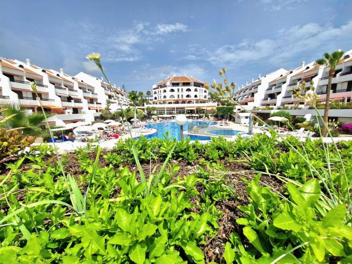 פלאייה דה לאס אמריקס Parque Santiago 1 F-348 By Tenerife Dream Properties מראה חיצוני תמונה
