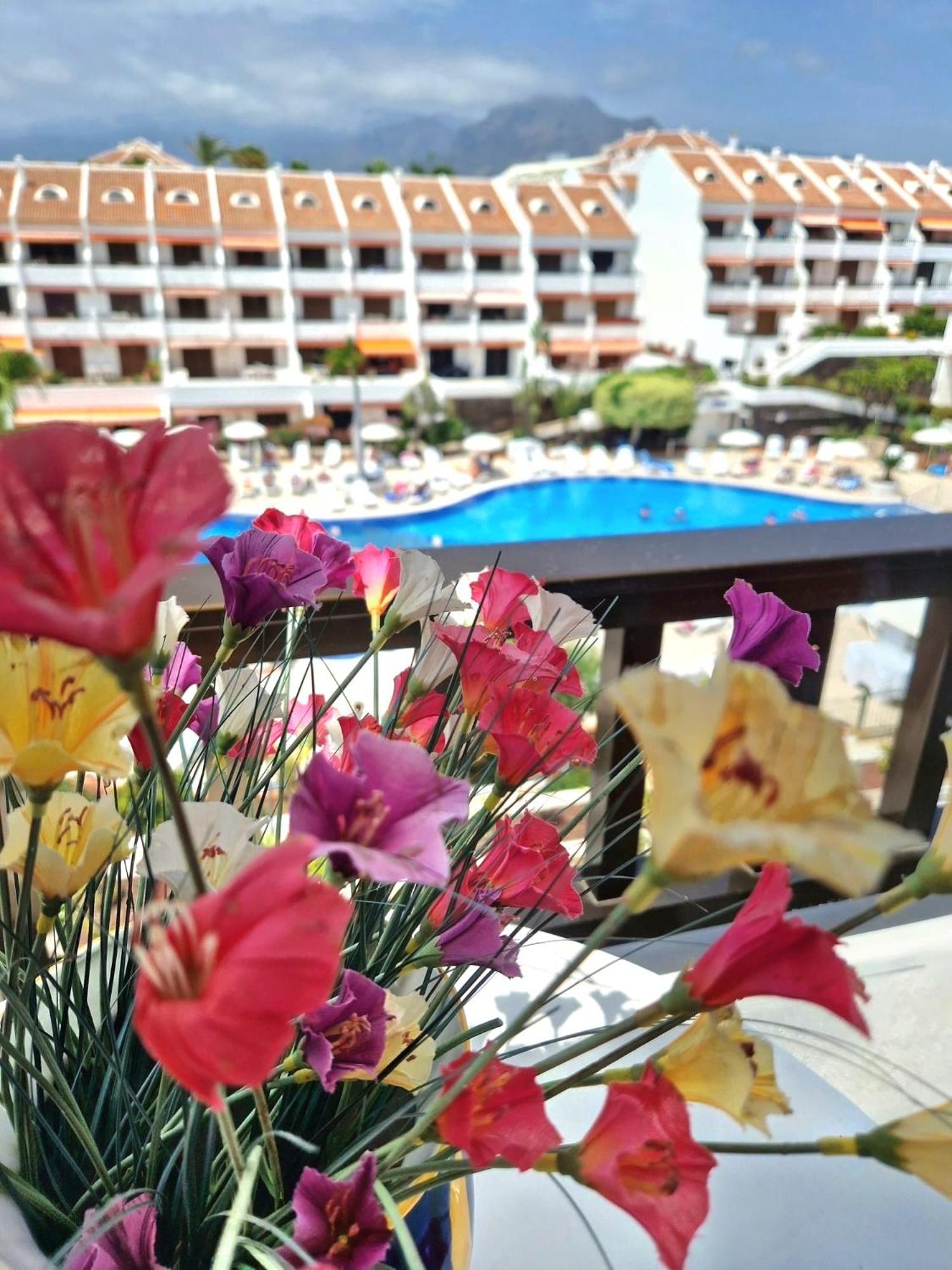 פלאייה דה לאס אמריקס Parque Santiago 1 F-348 By Tenerife Dream Properties מראה חיצוני תמונה